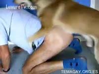 Naughty fellow got fucked by his dog